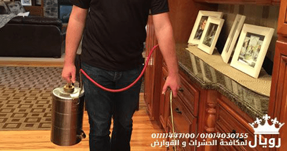 Aboutus Pestcontrol